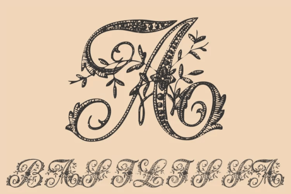 Basilissa: A Flowery Display Font Review