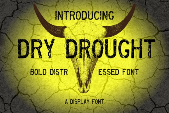 Dry Drought: A Designer's Unfiltered Review for Real Projects