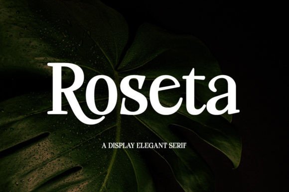 Finding Roseta: A Font That Breathes Beauty Into Words