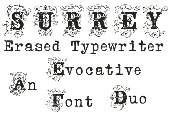 Using Surre Erased Typewriter in Brand Design Projects